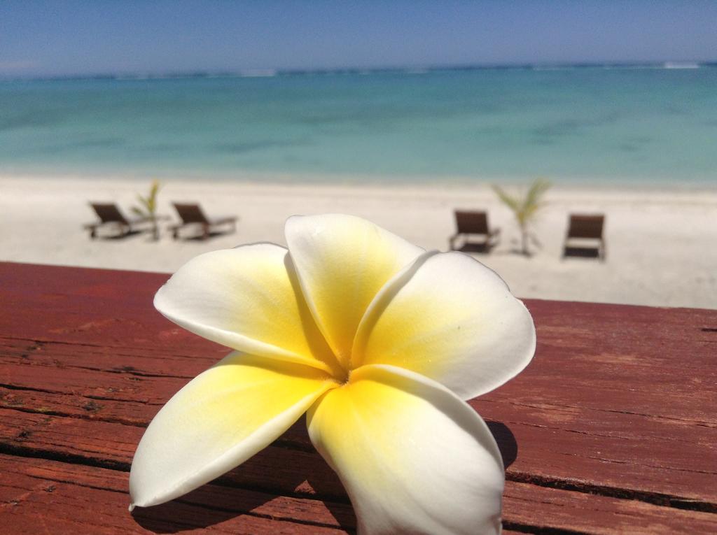 アルタンガ Aitutaki Seasideヴィラ エクステリア 写真